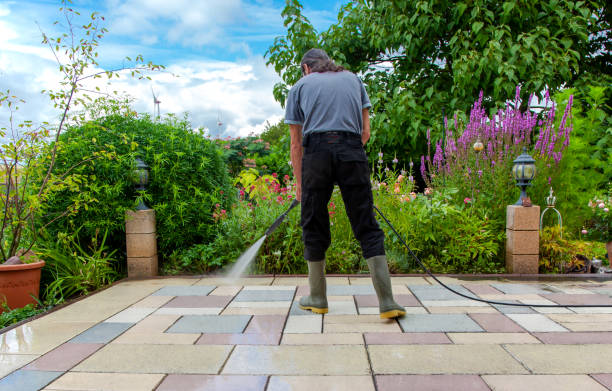 Best Pre-Holiday Cleaning  in Westport, WA